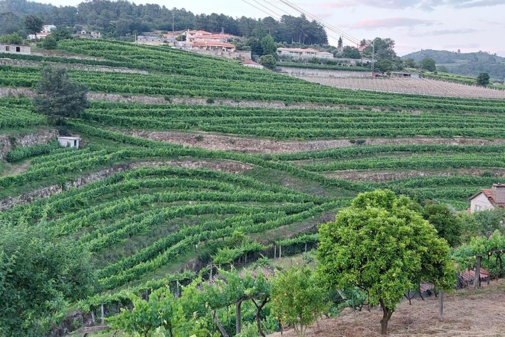 Villa Quinta Dos Castros Douro Baião Esterno foto