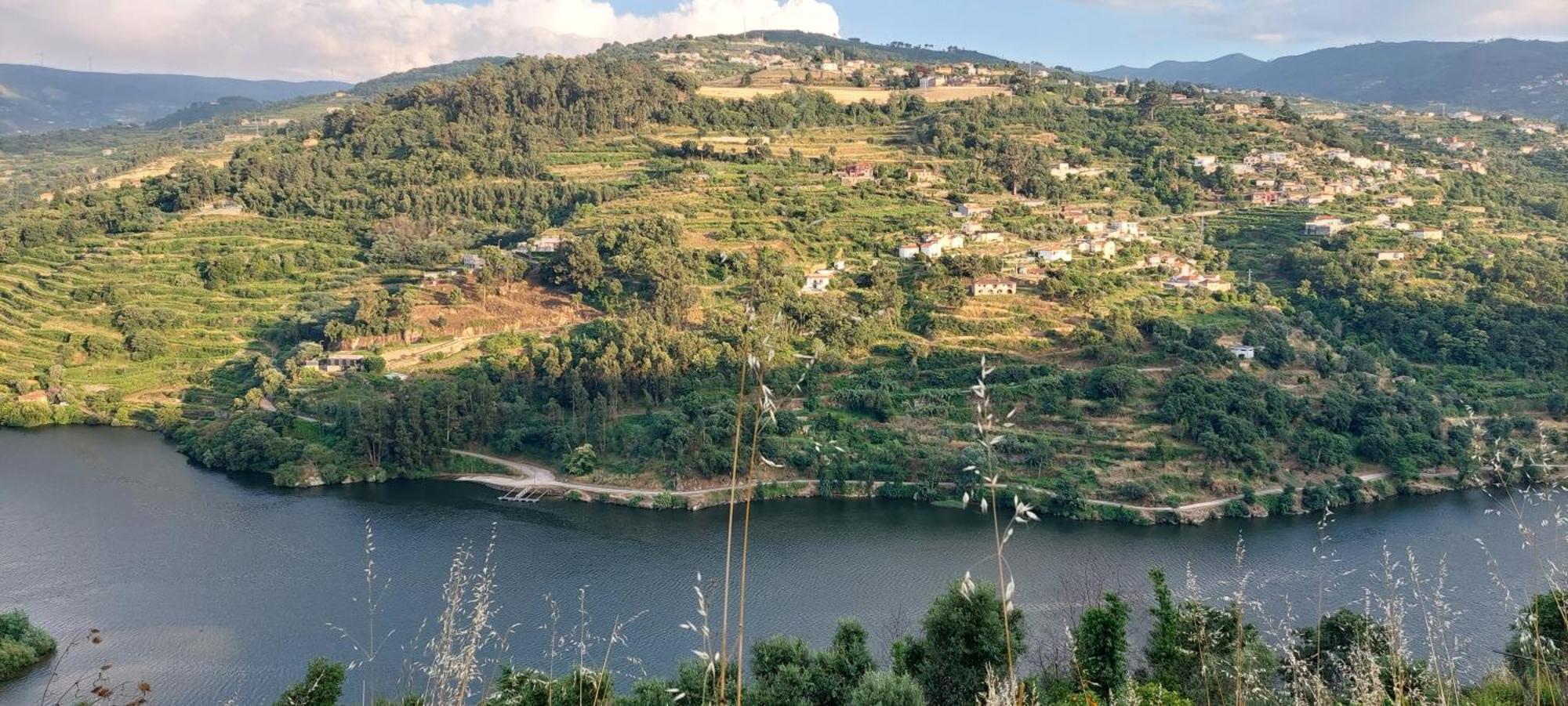 Villa Quinta Dos Castros Douro Baião Esterno foto