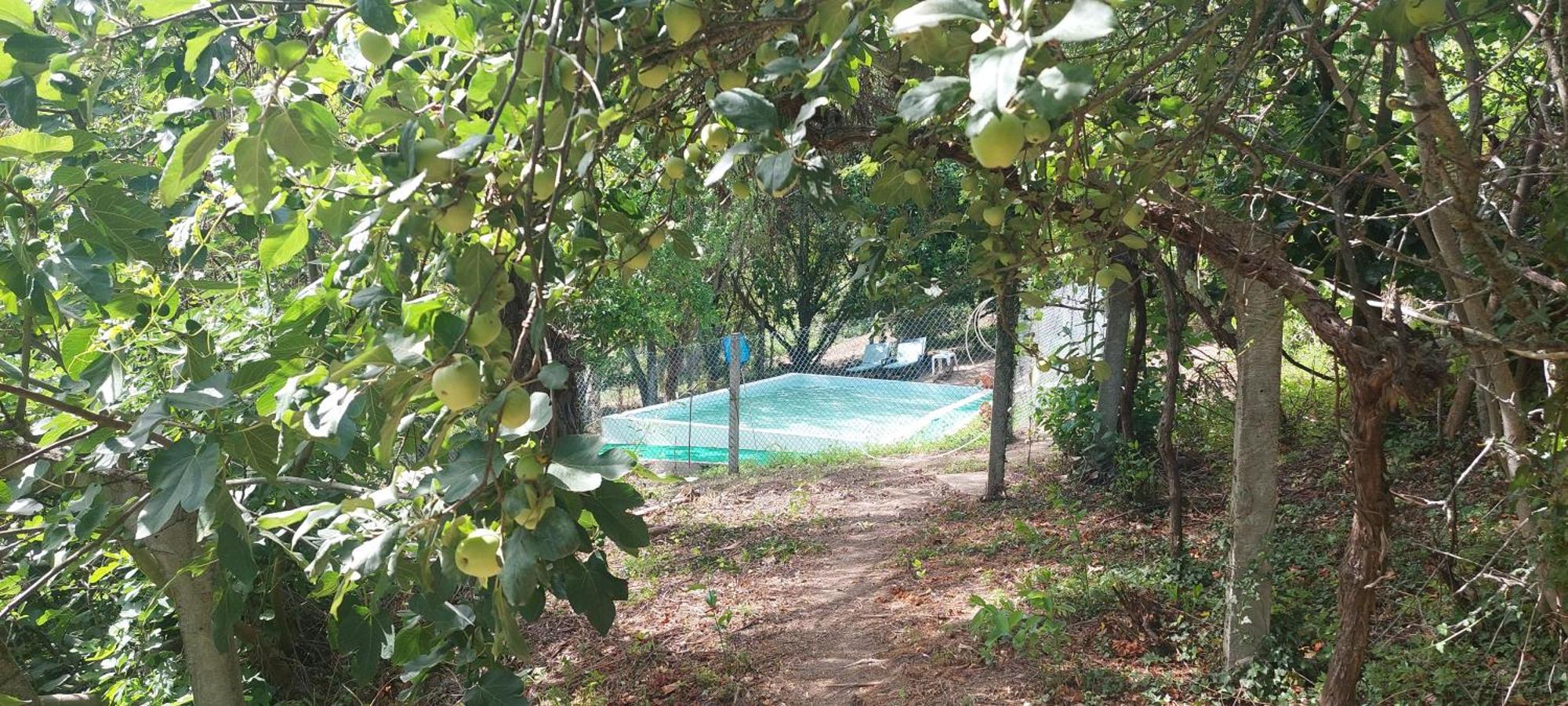 Villa Quinta Dos Castros Douro Baião Esterno foto