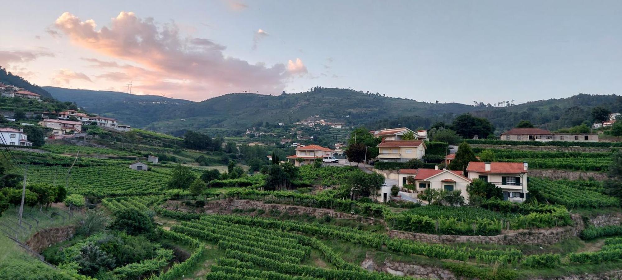 Villa Quinta Dos Castros Douro Baião Esterno foto