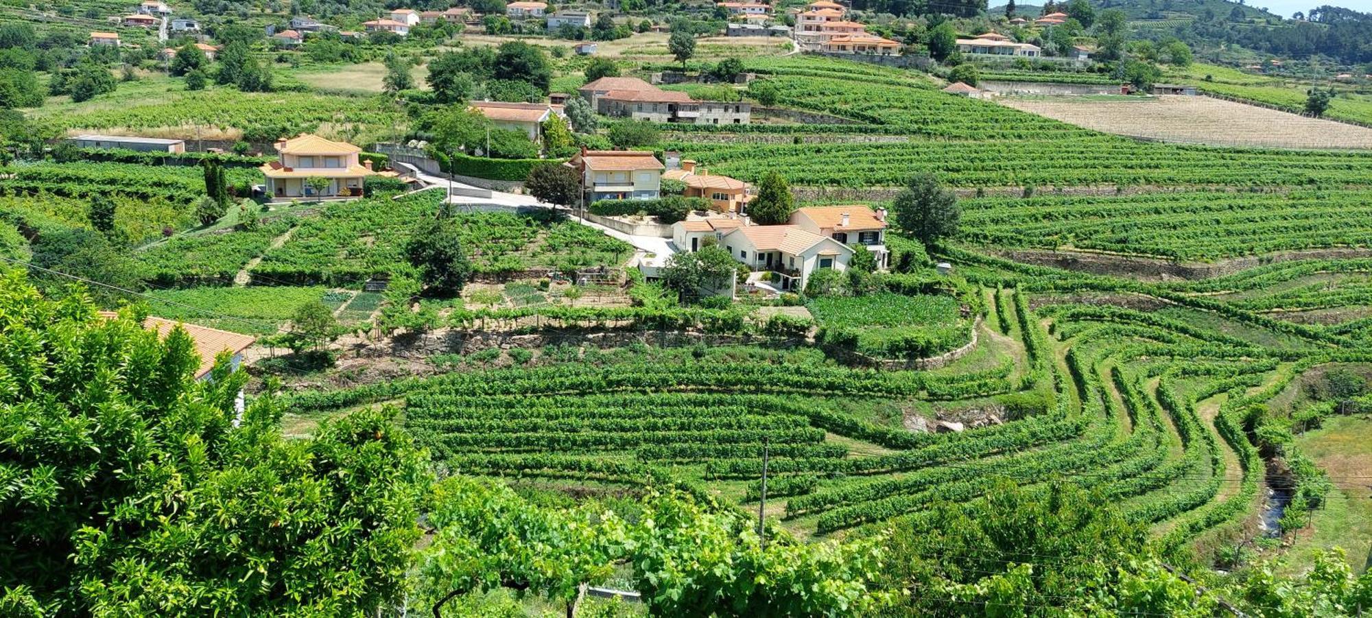 Villa Quinta Dos Castros Douro Baião Esterno foto