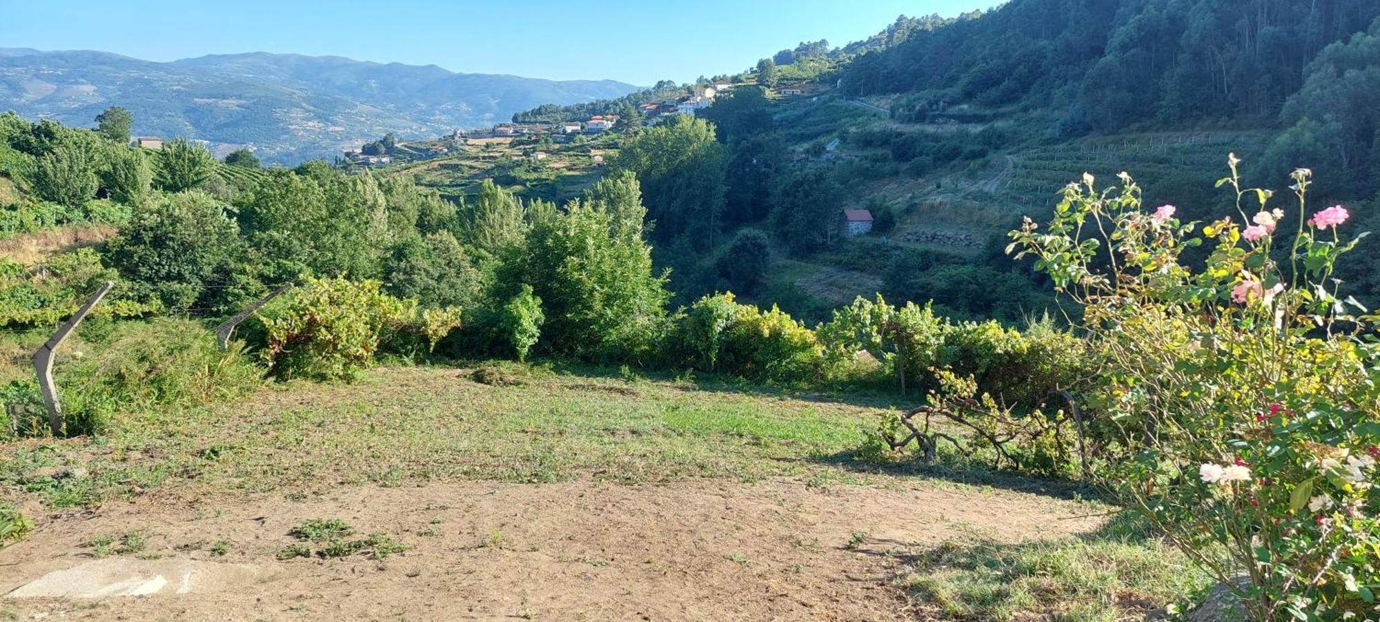 Villa Quinta Dos Castros Douro Baião Esterno foto