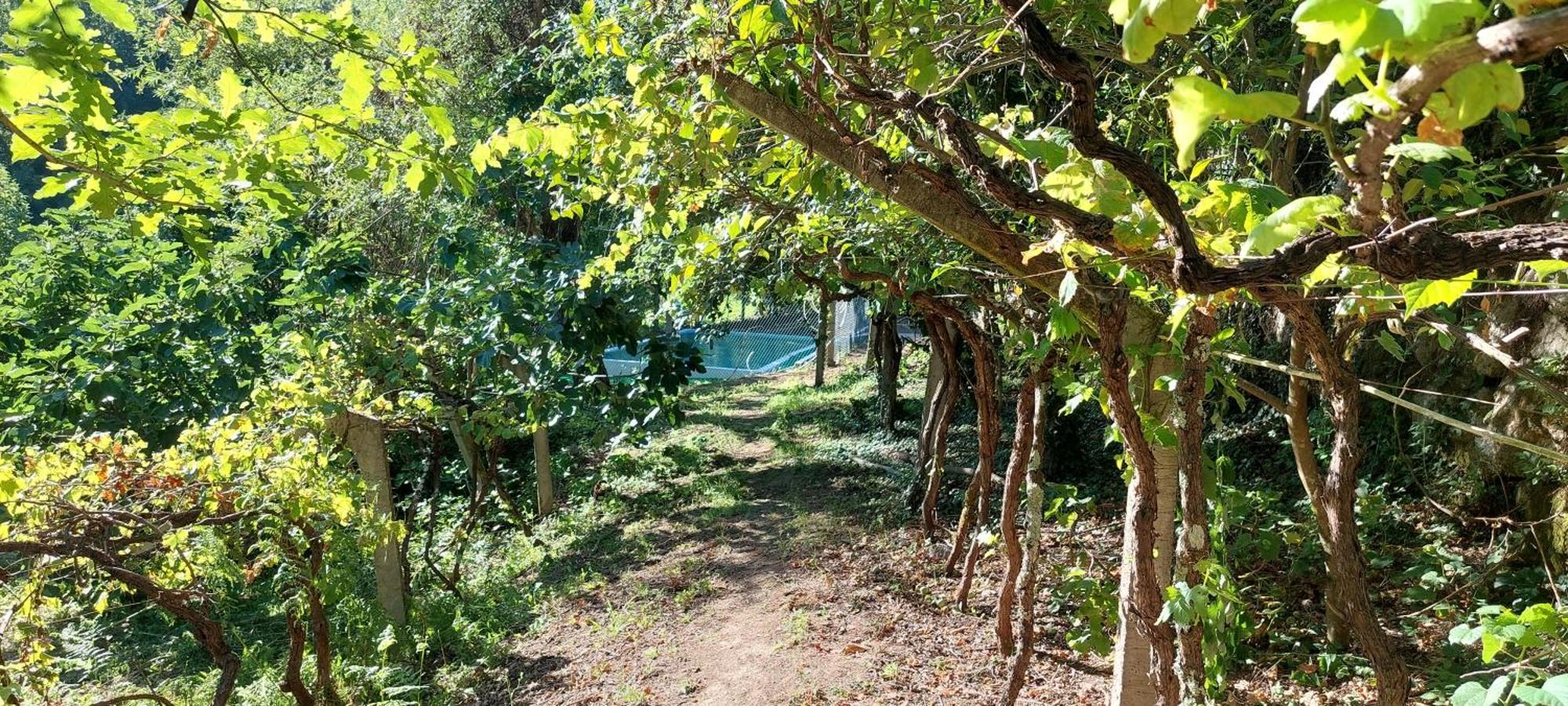 Villa Quinta Dos Castros Douro Baião Esterno foto