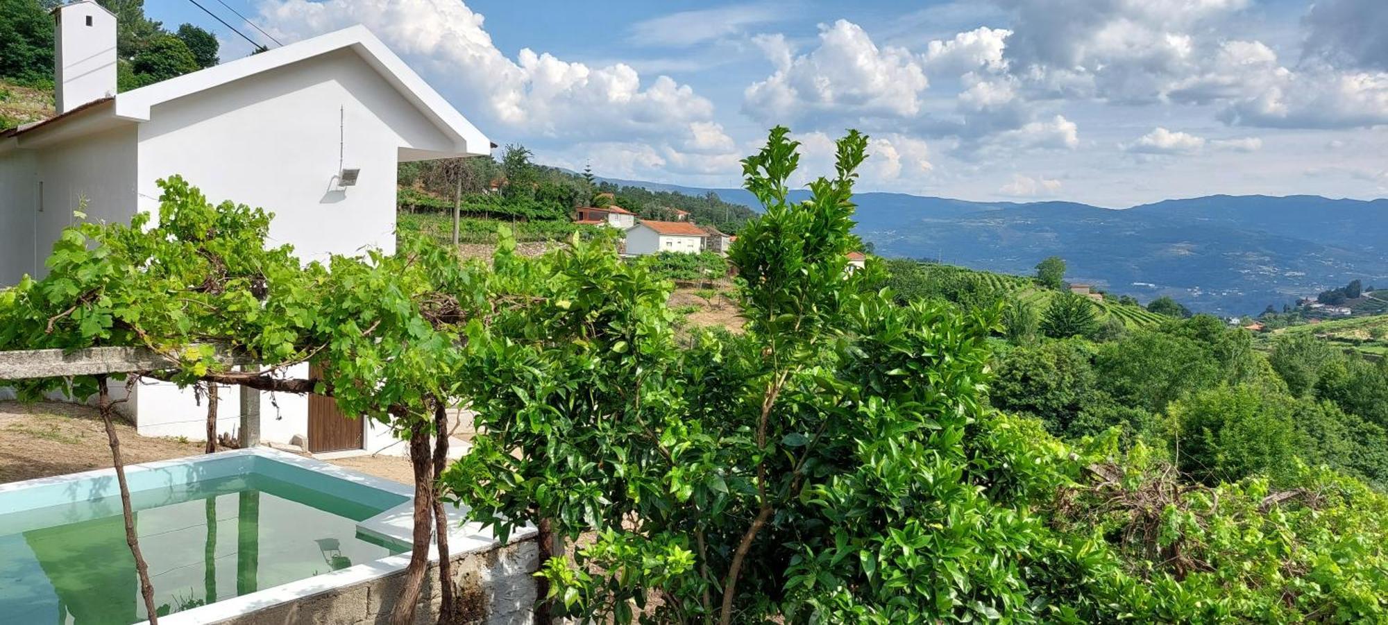 Villa Quinta Dos Castros Douro Baião Esterno foto
