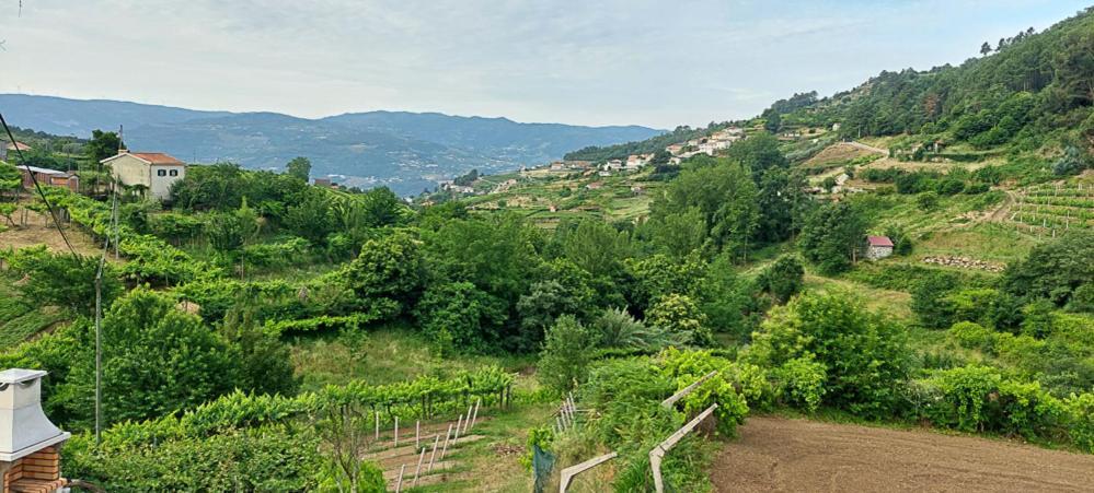 Villa Quinta Dos Castros Douro Baião Esterno foto
