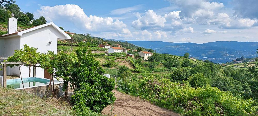 Villa Quinta Dos Castros Douro Baião Esterno foto