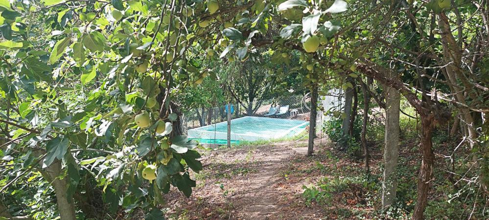 Villa Quinta Dos Castros Douro Baião Esterno foto