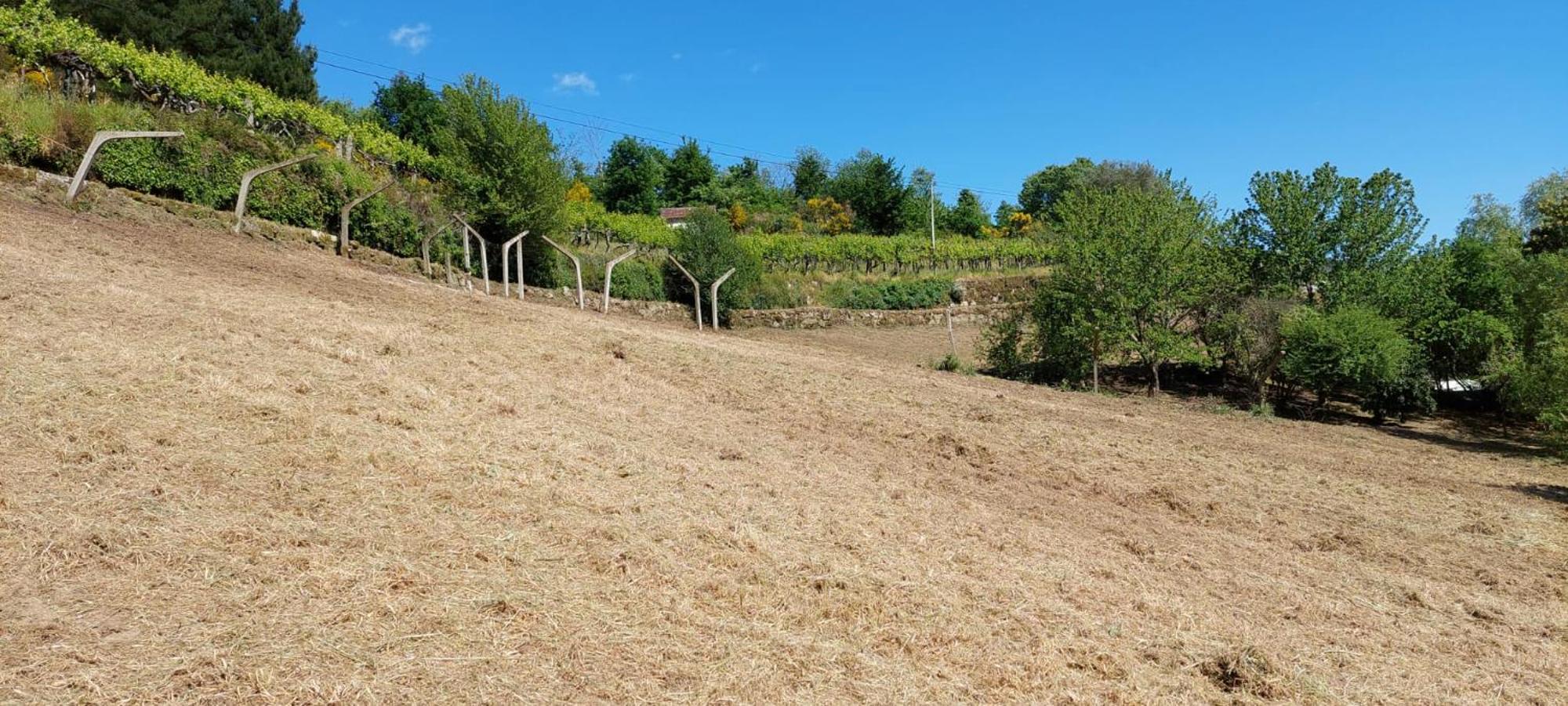 Villa Quinta Dos Castros Douro Baião Esterno foto