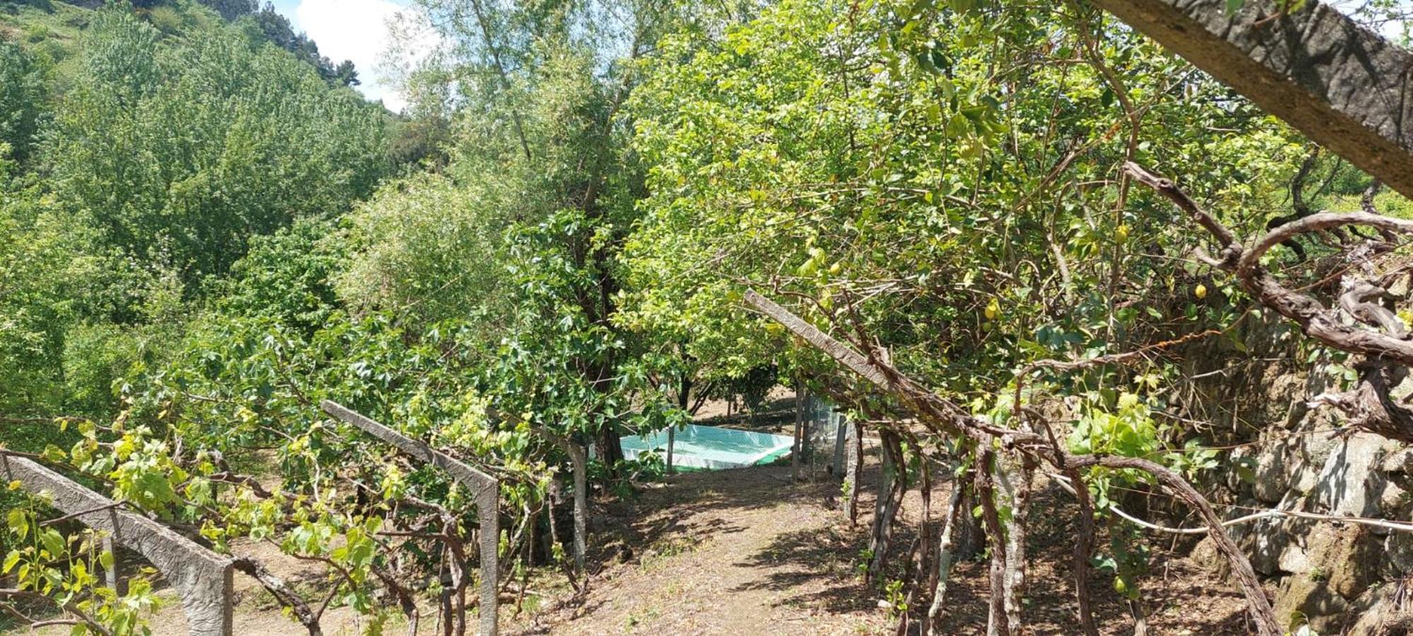 Villa Quinta Dos Castros Douro Baião Esterno foto